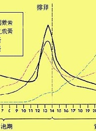 女性该如何掌握自己的月经周期