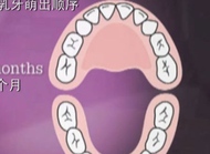 牙医博士告诉你怎么给0-1岁婴儿刷牙