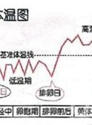 备孕女性必知：这4种测算排卵期的方法！