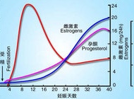 HCG检查