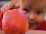 打破“冬天要多吃肉”谣言