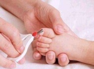 婴儿修剪指甲，宜每周2-3次
