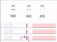 如何正确使用排卵试纸？