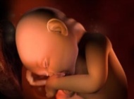 孕期要点——33周 孕妈妈变化